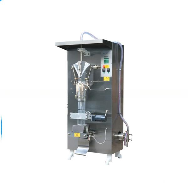 Após-serviço Serviço de manutenção e reparação no terreno Máquina de embalagem de água para bebidas 2200 sacos/hora