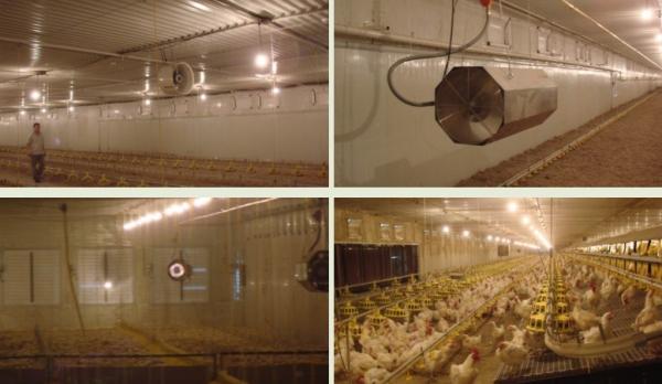 Trade show: CAHE - China Animal Husbandry Expo 2012 Nanjing - - NorthHusbandry