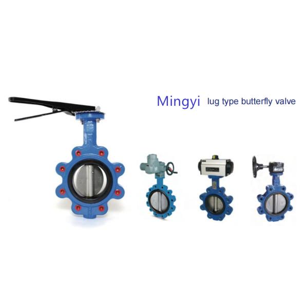 API609 EPDM revestido con PTFE de hierro fundido tipo de wafer de bolsillo para necesidades personalizadas