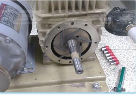 As Per Your Requirement Carbon Graphite Vane and Blade for Vacuum Pump from Suppliers