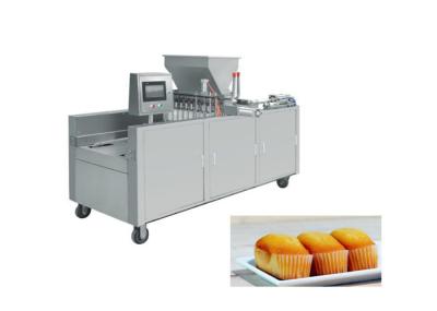 Pão de aço inoxidável que forma a máquina uma estrutura compacta da garantia do ano
