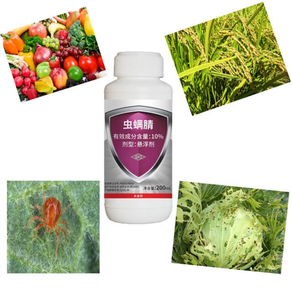 Microbial 10% Chlorfenapyr Insecticide SC For Cabbage Caterpillar Beet Armyworm