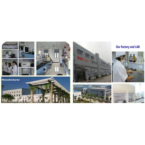 25kg Organic Vital Wheat Gluten Flour Protein Powder For Pizza Pasta Bakery Bread