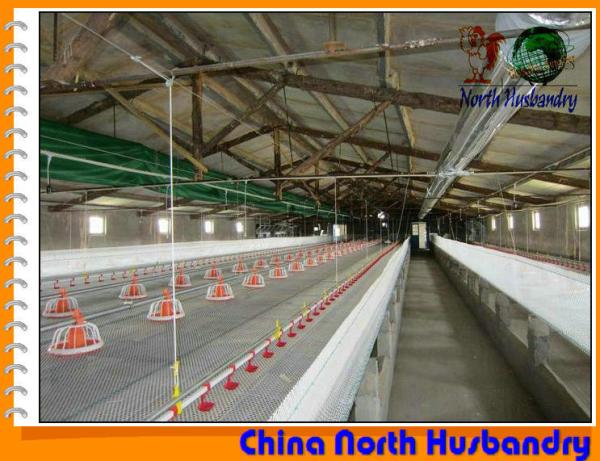 Breeder Cage System of Poultry Cages - Poultry Farm