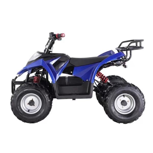 Electric Mountain Truck Off-Road Vehicle with Rear Disc Brake and 600-1000mm Wheelbase