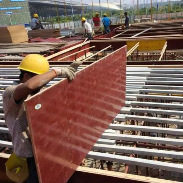 Коммерчески 18mm структурные листы переклейки сосны эвкалипта листов переклейки