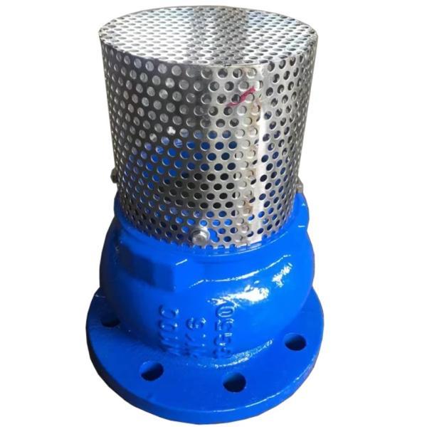 GGG50 H42X cast iron flanged foot valve manufacturer in China