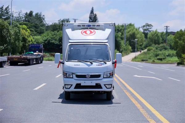 Small Dongfeng Refrigerator Truck Container Type 2 Ton 3ton Refrigerated Truck for Sale