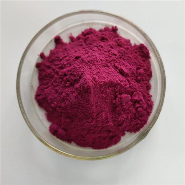 Antioxidants Food Grade Bilberry Fruit Powder With Best Price