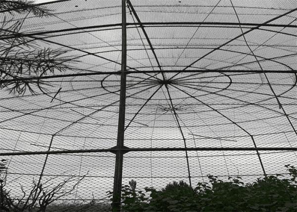 Annapolis Stainless Steel Bird Aviary Wire Mesh Rhombus Shape Customizable Size