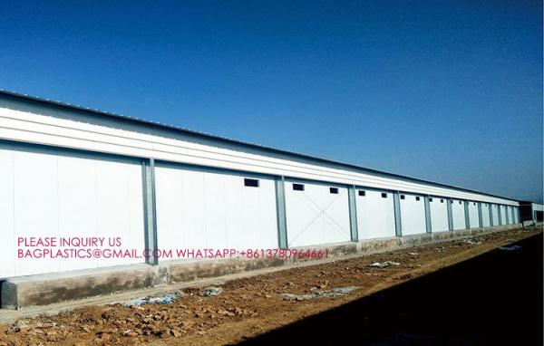 Steel Structure Building Prefab Poultry Chicken House Poultry Shed Chicken Farm Building House For 10000 Chickens