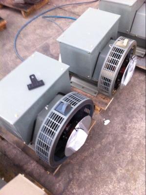 USA Essex Copper Wire 6.5Kw Brushless Alternator For Perkins Generator Set