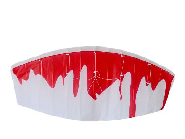 160*60cm Parafoil Stunt Kite With 2*50m String Line Oem / Odm Acceptable