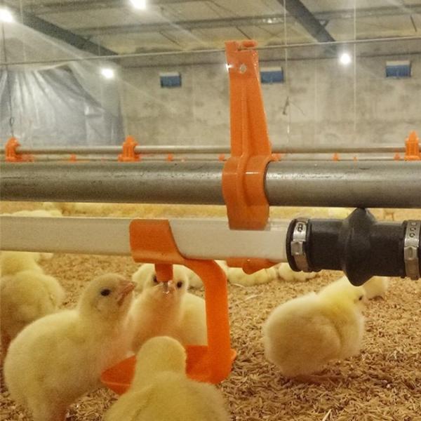 Линия поения птицы Orange Poultry Ниппельные поилки Plasson для птицы