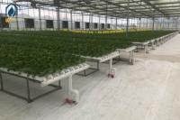 NFT Hydroponic Tube Indoor Planting System With Rapid Nutrient Cycling