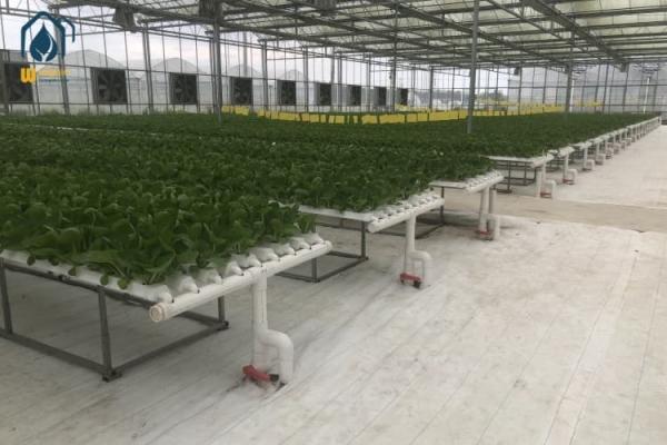 NFT Hydroponic Tube Indoor Planting System With Rapid Nutrient Cycling