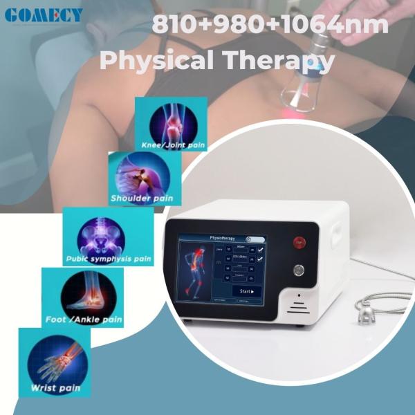 Pain Relief Laser Therapy Physiotherapy Device Diode Laser 980Nm 810nm 650nm 1064nm Class 4 Laser