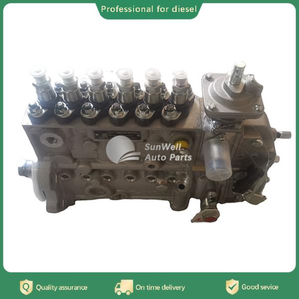 Genuine Motor Diesel engine spare parts fuel Injection Pump 5313188 for QSL
