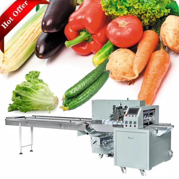 50 / 60HZ 2.8KW Horizontal Packaging Machine For Food Fruit Vegetables