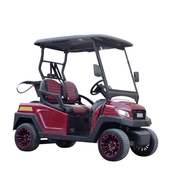 Electric Golf Buggy 2 Passenger with Intelligent Onboard Charger