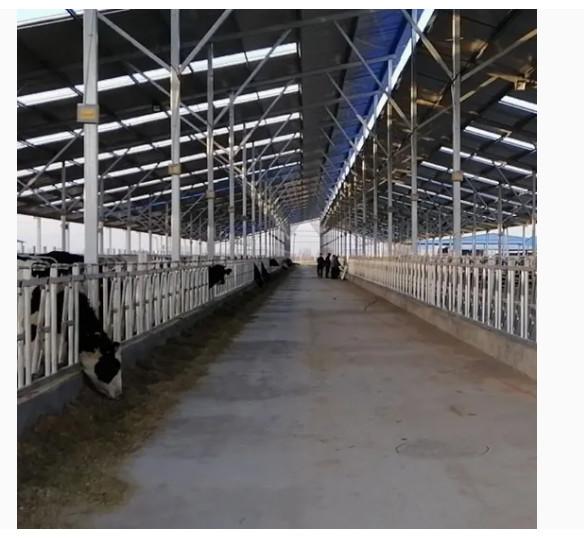 Custom Galvanized Light Steel Structure Horse Cow Sheep Stables Farm Shed