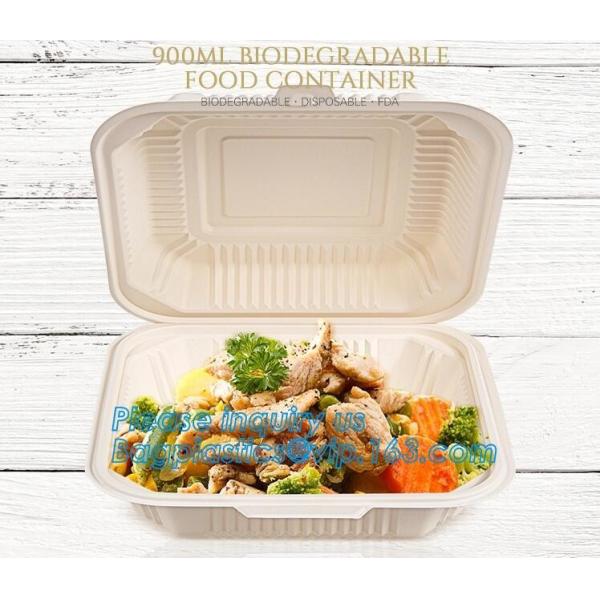 Tableware Bagasse Plate Bagasse Containers Bagasse Clamshell Bagasse Tray Bagasse Cup Bagasse Lids Bagasse Cutle