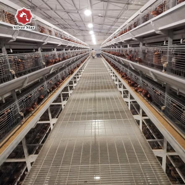 Poultry Farm Automatic A Type Galvanized Layer Egg Laying Chicken Battery Cage System