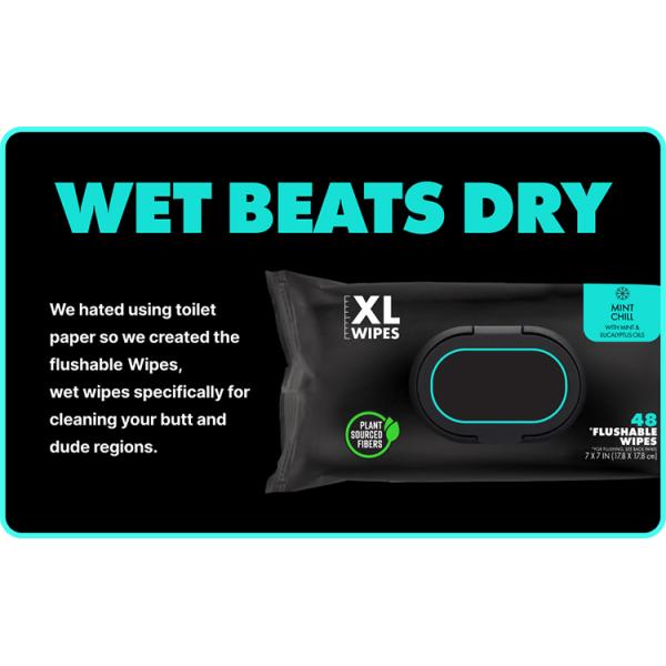 Extra Large Adult Toilet Wet Wipes With Vitamin E  Aloe Septic And Sewer Safe