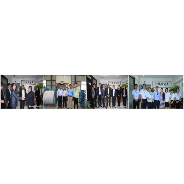 Low Voltage PVC Control Cable Multi Core Heat Resistant Flex For Instrumentation