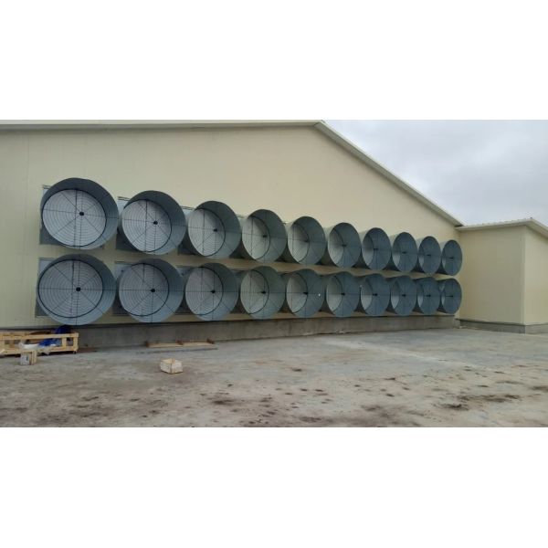 Corrosion Resistant Energy Saving Automatic Feed Poultry Ventilation System for Chicken House