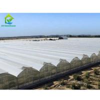 Anuncio publicitario multi de la agricultura del invernadero del palmo del sistema de enfriamiento del tomate del túnel