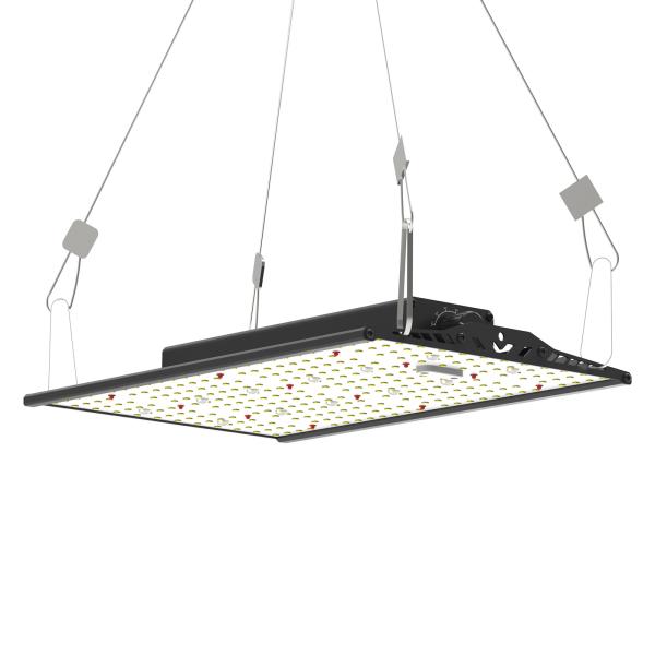 100W Full Spectrum LED Grow Light With Samsung / Osram LEDs For Optimal VEG / Flower Growth