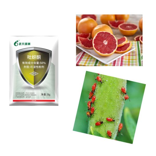 Rice Planthopper Biological Pesticide 50% Pymetrozine Insecticide Powder