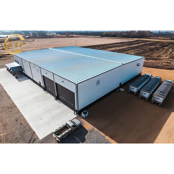 1000 Square Meter Prefabricated Ready Made Steel Structure Warehouse Building for Food Factory