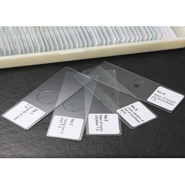 School Education Prepared Botany Slides , Labeled Microscopic Slide Set
