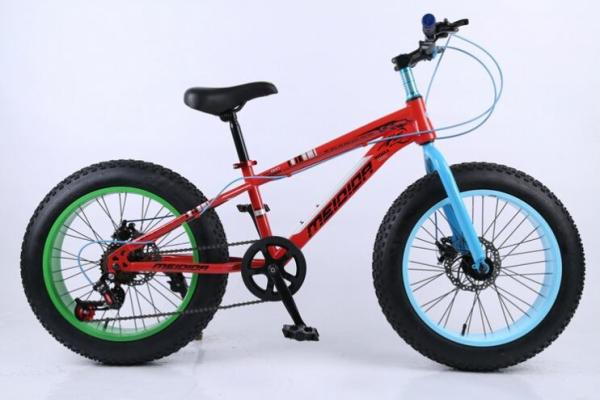 Steel Frame 21 Speed 26 Inch Electric Fat Bike