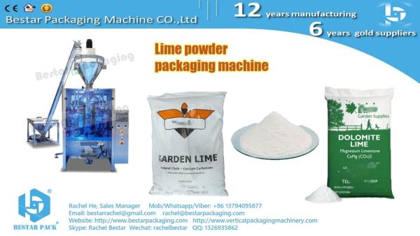 1KG Wall putty powder packaging machine, Wall tile grout powder packing machine BSTV-450DZ