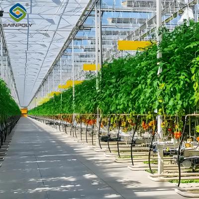 Tomato Planting Complete DIY Greenhouse Kit With Hot Dip Steel Frame PE / Glass Cover