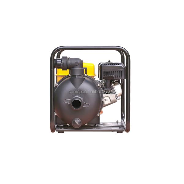 Single Cylinder Sewage Pumps for Agricultural Irrigation and Sewage Treatment in 220v