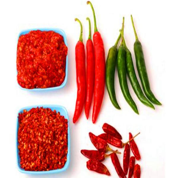 Poudre de piment rouge doux biologique, sans allergènes connus, poids net 100 grammes, pour la cuisine chinoise