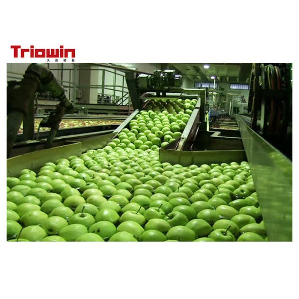 Custom Fruit And Vegetable Processing Line Pear Fruit Juice Processing Machines 220/380V