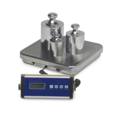 30Kg 60Kg 150Kg 300Kg 600 Kg Platform Scale Weighing Scale For Industrial Use