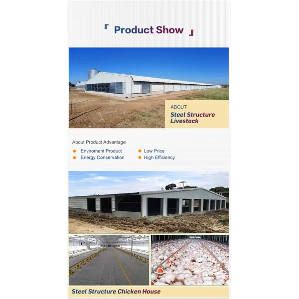 Prefab Steel Structure Low Cost Commercial Chicken House Complete Poultry Farm Shed for Chicken Raising