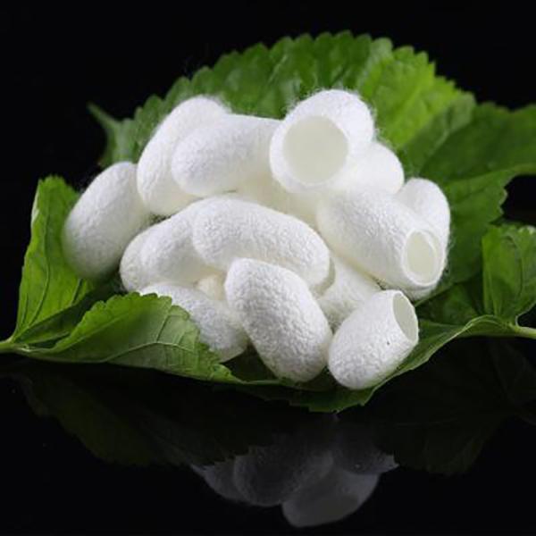 Peptide de seda branco Hydrolyzed do pó da matéria prima de seda dos ácidos aminados
