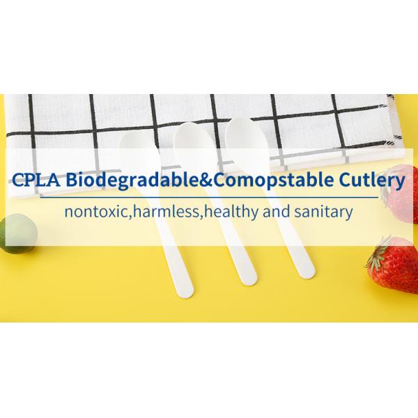 Sustainable CPLA Disposable Tasting Spoon Eco Friendly Mini