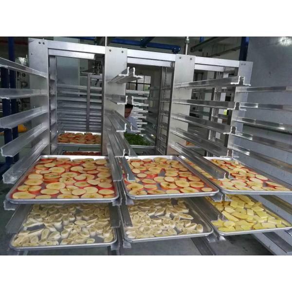 GMP Промышленный лиофилизатор Фармацевтический топион Фармацевтические препараты