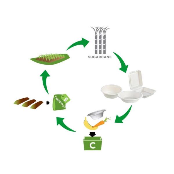 Бумажная тарелка белого торта PLA 14.5X14.5CM устранимая Handmade круглая