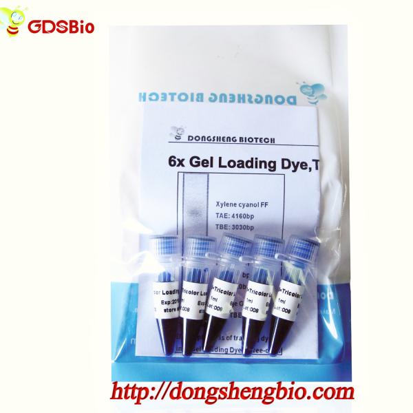 6× Gel Loading Dye Three Color DNA Electrophoresis Buffer 1mlx5