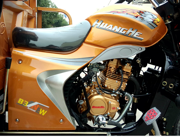 Взрослый моторизовал коробку передач мотоцикла колеса трицикла 3 груза 200КК автоматическую