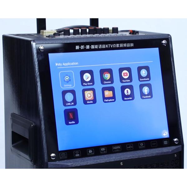 WIFI Portable Bluetooth Karaoke Party Speaker Super Bass Wireless 10 Inch Outdoor